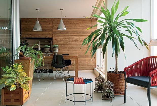 Plantas que podem ficar dentro de casa